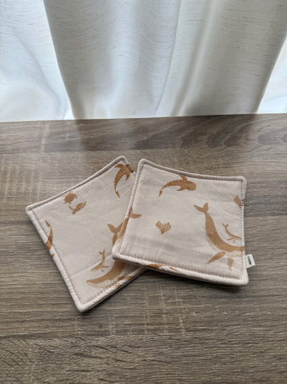 Coaster